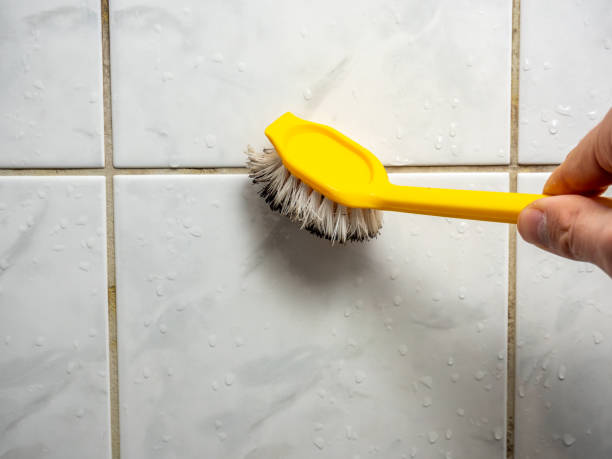 Best Toxic Mold Removal  in Emporia, VA