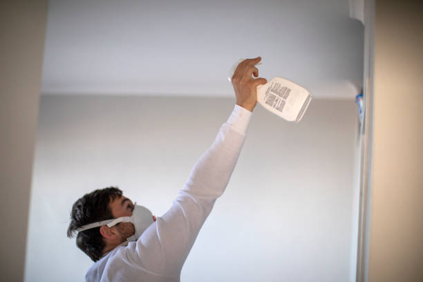 Best Crawl Space Mold Removal  in Emporia, VA