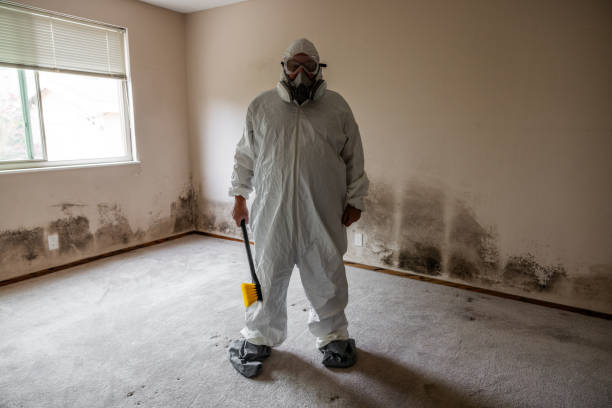 Best Mold Testing  in Emporia, VA